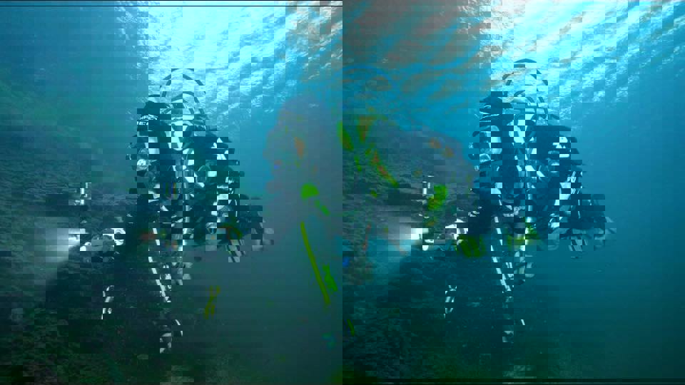 two-column image