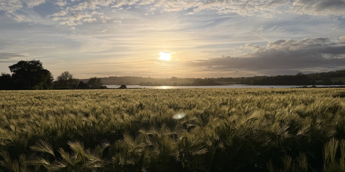 WINNER June 2026 Jason Crimmins Late Evening Over The Carew River