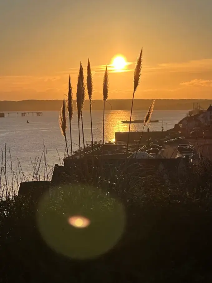 March 2026 Mel Barney Haven Sunset