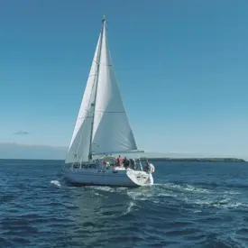 New Movie 28 Movie Snapshot